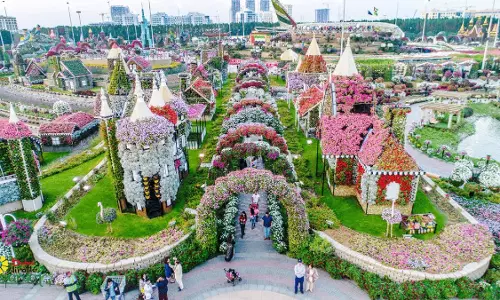 ദുബൈ മിറാക്കിൾ ഗാർഡനിൽ പുതിയ സീസണിലേക്കുള്ള ടിക്കറ്റ് നിരക്കുകളിൽ വർധന