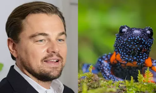 leonardo dicaprio