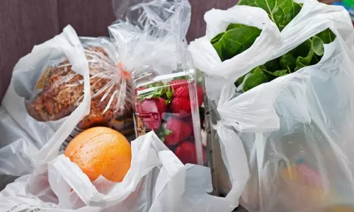 ഒറ്റത്തവണ ഉപയോഗിക്കാവുന്ന പ്ലാസ്റ്റിക് ബാഗുകൾ   റാസൽഖൈമയും നിരോധിക്കുന്നു