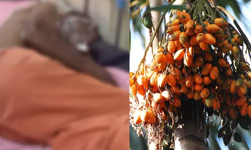 പാലക്കാട്‌ അടക്ക മോഷ്ടിച്ചെന്ന് ആരോപിച്ച് മാനസികവെല്ലുവിളി നേരിടുന്നയാൾക്ക് മർദ്ദനം