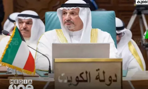 Palestine-Israel conflict: Kuwait-Iran foreign ministers held talks