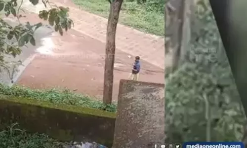 Athrassery Jose dies in wild Elephant attack: Forest Department