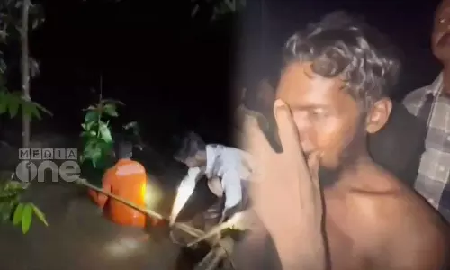 All 14 people trapped in the Kollam Kulathupuzha lorry kadavu forest area were rescued, All 14 people trapped in Kulathupuzha forest area rescued