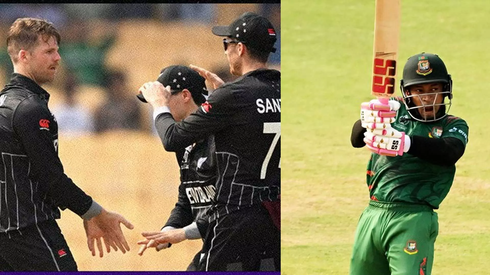 New Zealand win by eight wickets against Bangladesh in ODI world cup