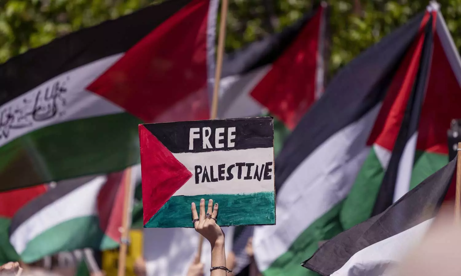 Delhi Police denied permission for Palestine solidarity program announced by the All India Peace and Solidarity Organization, Delhi Police denied permission for Palestine solidarity program, Delhi Police, Palestine solidarity