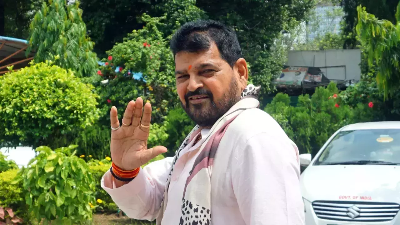 Brij Bhushan Sharan Singh