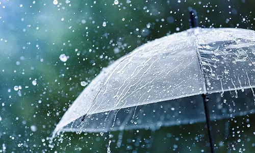 Heavy rains will continue in the state; Yellow alert has been declared in nine districts