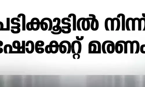 എറണാകുളത്ത് പട്ടിക്കൂട്ടിൽ നിന്ന് ഷോക്കേറ്റയാൾ മരിച്ചു