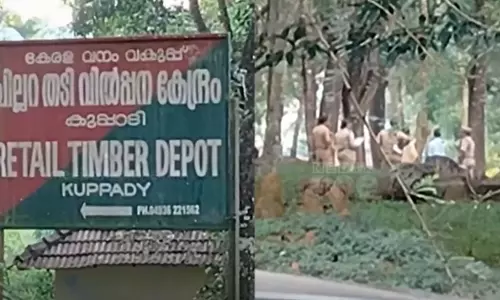 The legal commission appointed by the court in the Muttil tree felling case examined the timber seized by the forest department. The legal commission appointed by the court in the Muttil tree felling case examined the timber seized by the forest department.