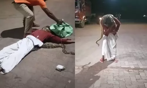 A python wrapped around the neck of a drunk man in Kannur A python wrapped around the neck of a drunk man in Kannur