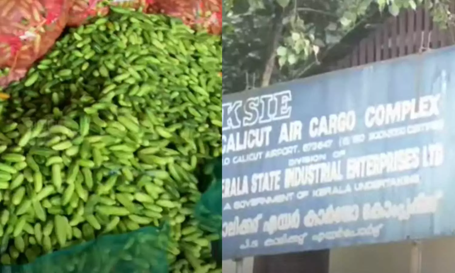 No export of fruits and vegetables in Karipur without Nipa Free Certificate No export of fruits and vegetables in Karipur without Nipa Free Certificate