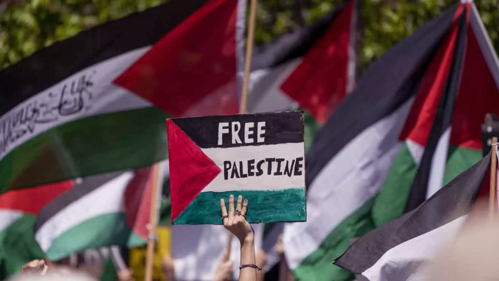 Students palastine solidarity march tomorrow Students palastine solidarity march tomorrow