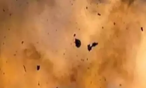 ഒറ്റപ്പാലത്ത് പന്നിപടക്കം പൊട്ടിത്തെറിച്ച് പശുവിന്റെ വായ തകർന്നു