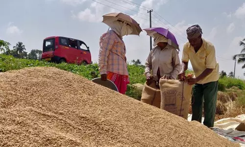 നെല്ല് സംഭരണം സഹകരണ സംഘങ്ങളെ ഏൽപ്പിക്കാനുള്ള തീരുമാനം; ആശങ്കയിൽ കർഷകർ