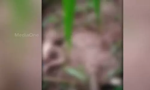 Plantation worker died in wild elephant attack in Wayanad Meppadi