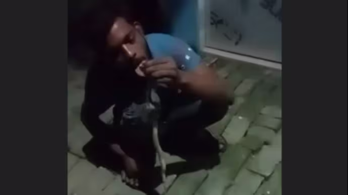 Rohit Jaiswal playing with a snake