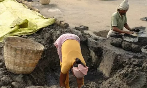 Indians are among hardest workers in the world