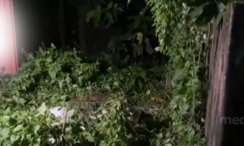 Youth stabbed to death in Thrissur, Thrissur murder