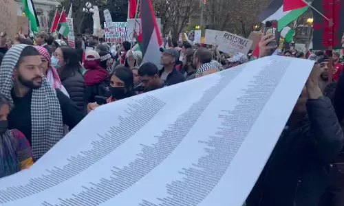 Washington D.C. Protest