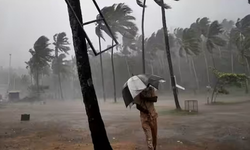 60 houses were damaged, cyclone in Shornur, latest malayalam news, ഷൊർണൂരിൽ 60 വീടുകൾക്ക് നാശനഷ്ടം, ചുഴലിക്കാറ്റ്