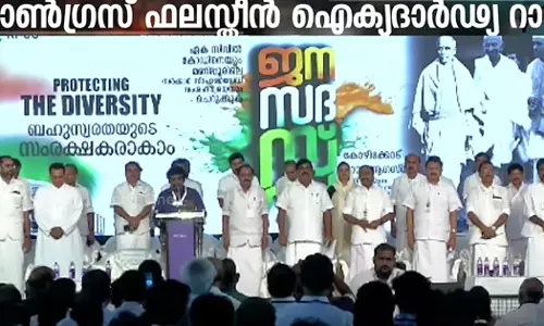 Congress will invite representatives of Muslim organizations and Christian churches to the Palestine rally