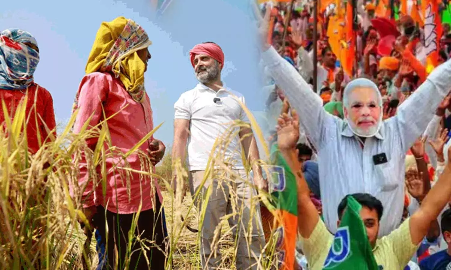Congress and BJP eyeing farmer votes in Chhattisgarh where assembly elections are taking place, Congress, BJP, Chhattisgarh assembly poll 2023 Congress and BJP eyeing farmer votes in Chhattisgarh where assembly elections are taking place, Congress, BJP, Chhattisgarh assembly poll 2023