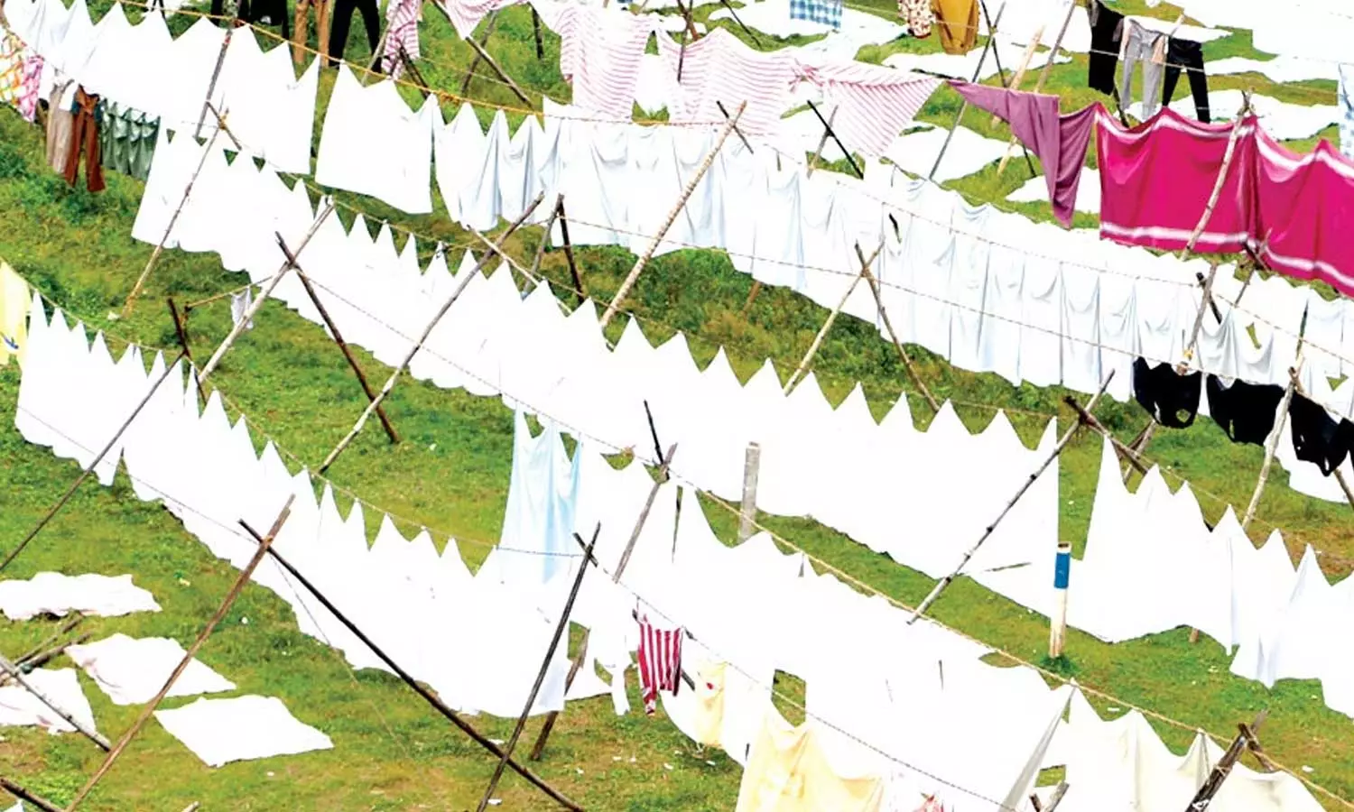 Laundresses were invited to Kerala Raj Bhavan, Dhobies invited to Kerala Raj Bhavan Laundresses were invited to Kerala Raj Bhavan, Dhobies invited to Kerala Raj Bhavan