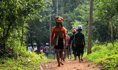 sabarimala pilgrims