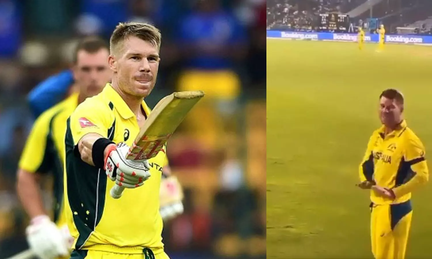 david warner