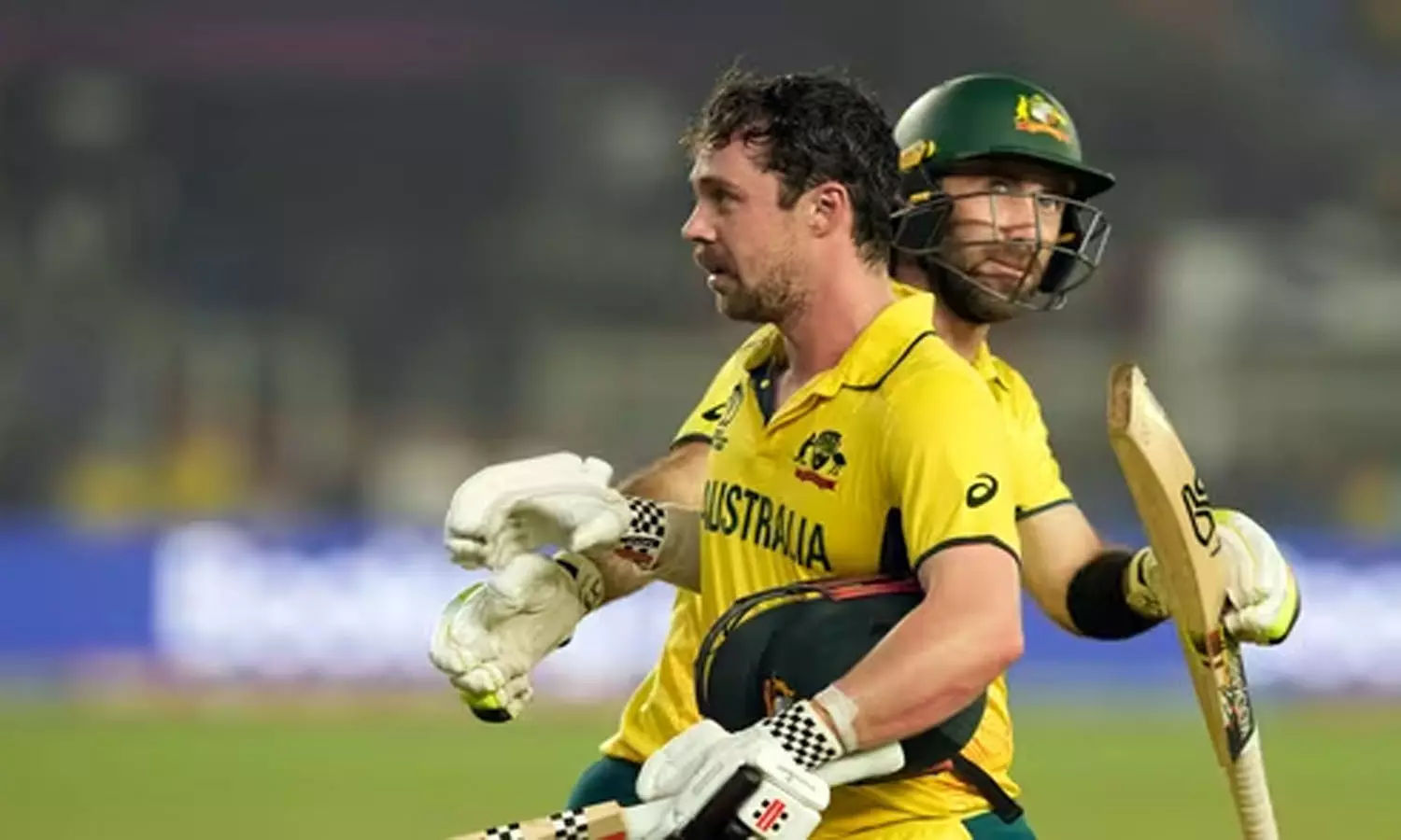 travis head and maxwell