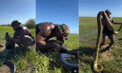 Man Catches Huge Anaconda