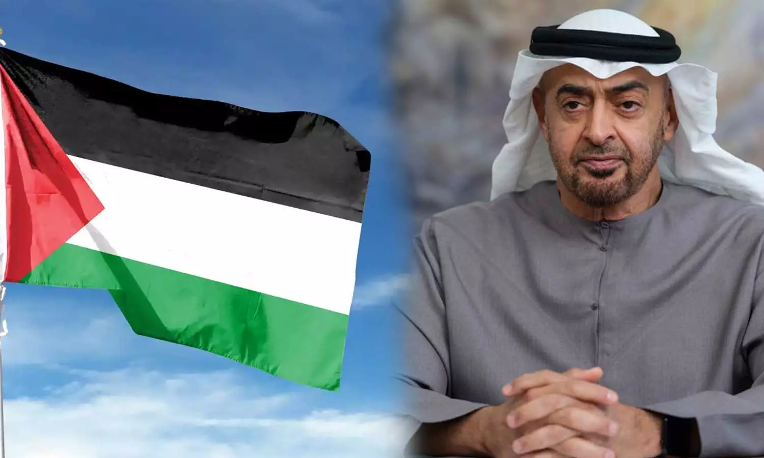 UAE urges international community to take immediate action to realize independent Palestinian state, UAE urges to realize independent Palestinian state