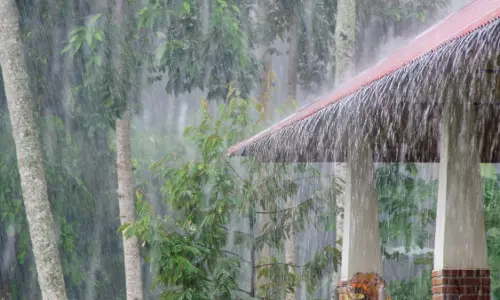 rainy kerala