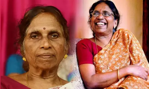 പി. വത്സലയുടെ നോവലുകള്‍