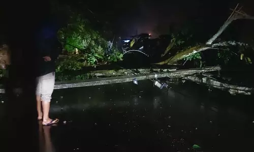 ഇടുക്കിയിൽ കനത്ത മഴ തുടരുന്നു: പലയിടത്തും മരംവീണ് ഗതാഗതതടസം