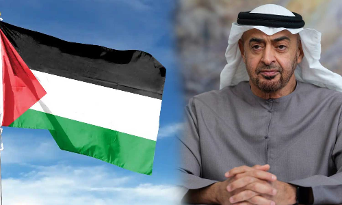UAE urges international community to take immediate action to realize independent Palestinian state, UAE urges to realize independent Palestinian state