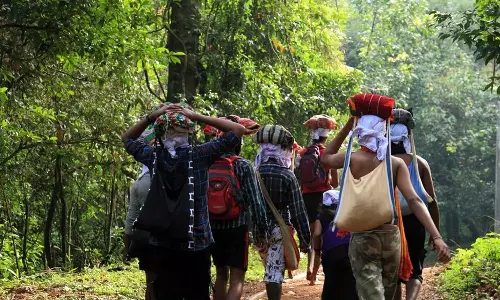snake bite,snake bite treatment,Sabarimala Sannidhanam,Sabarimala,sabarimala yathra,latest malayalam news,ശബരിമല, സന്നിധാനത്ത് ആറുവയസുകാരിക്ക് പാമ്പുകടിയേറ്റു,ശബരിമല തീര്‍ഥാടനം