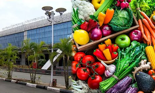 export of fruits and vegetables at Karipur airport,nipah-karipur airport,Nipah virusExport-import of vegetables ,കരിപ്പൂർ വിമാനത്താവളം,നിപ ഭീതി ,പച്ചക്കറി കയറ്റുമതി,