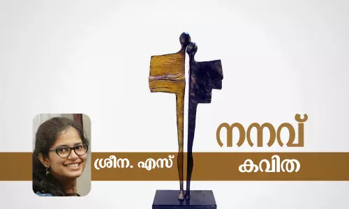 മലയാളം കവിത, മലയാള സാഹിത്യം