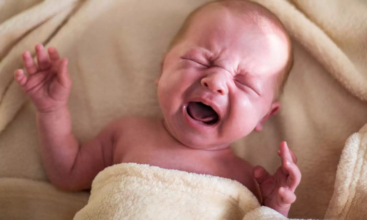 newborn digestion newborn digestion