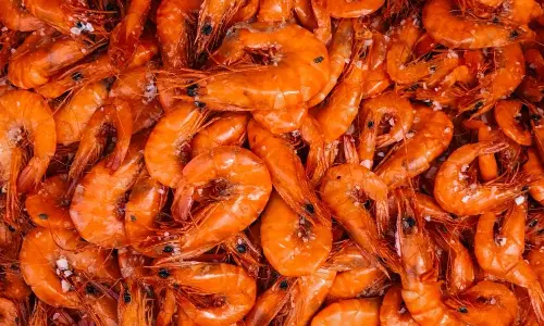 ചെമ്മീൻ