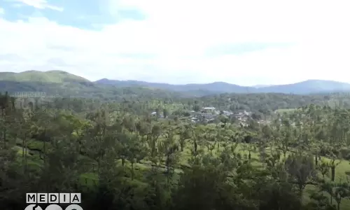 Govt freezes action to convert 364.39 hectares of land in Idukki Chinnakanal village into reserve forest