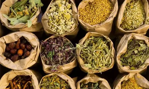 ഒമാനിൽ പ്രകൃതി ദത്ത ഔഷധങ്ങൾ വിൽപന നടത്തുന്നതിൽ നിയന്ത്രണം