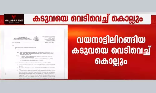 Order to shoot the tiger