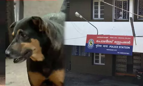 kozhikode medical college,stray dog attack in kozhikode medical college,stray dog attack kozhikode, Human Rights Commission ,
