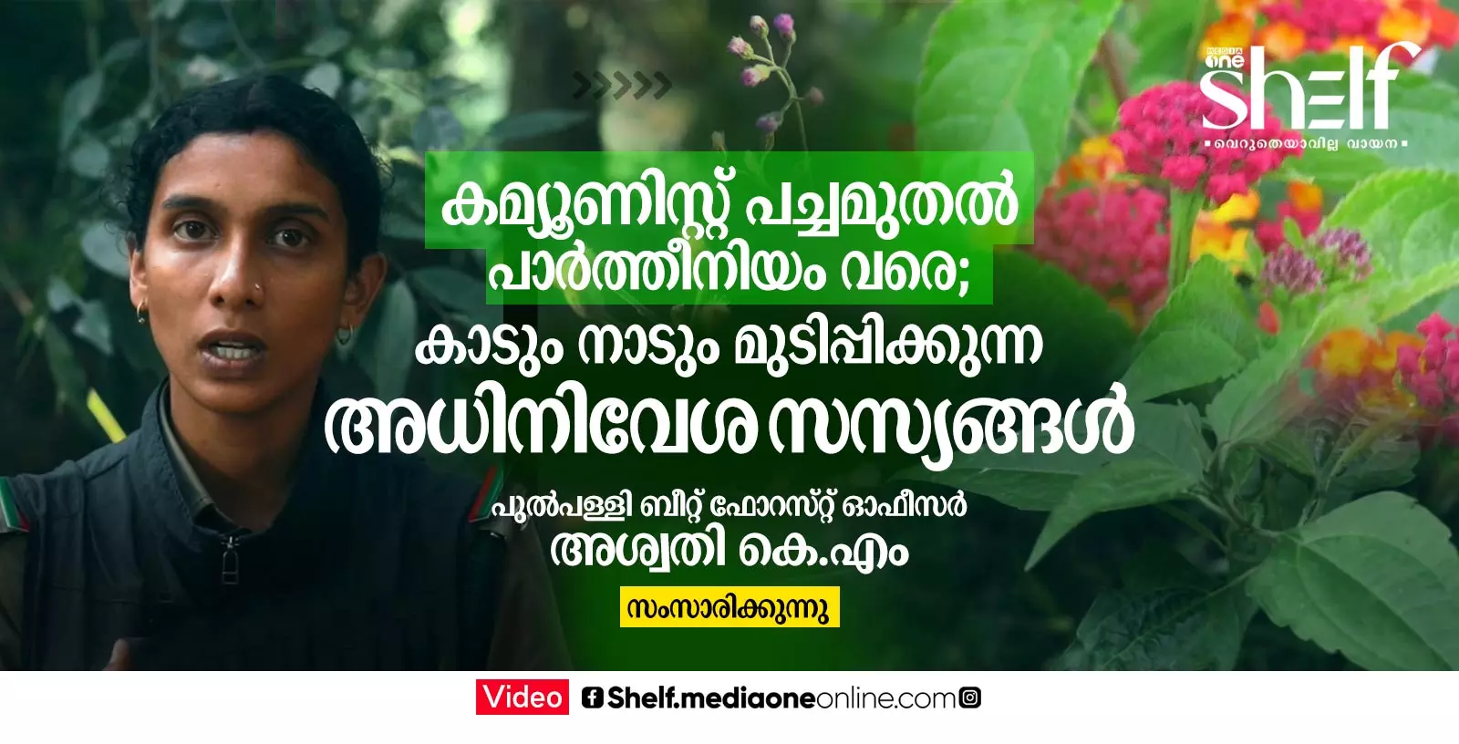 കേരളത്തിലെ അധിനിവേശ സസ്യങ്ങള്‍,