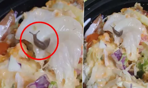 Live Snail In Salad,Swiggy,live snail in salad,viral video,swiggy,latest national news,സ്വിഗ്ഗി,സാലഡില്‍ ജീവനുള്ള ഒച്ച്,സ്വിഗ്ഗി ഓര്‍ഡര്‍