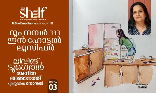 റൂം നമ്പര്‍ 333 ഇന്‍ ഹോട്ടല്‍ ലൂസിഫര്‍, ലിവിങ് ടുഗെതര്‍ - നോവല്‍, ലിവിങ് ടുഗെതര്‍,  അനിത അമ്മാനത്ത്