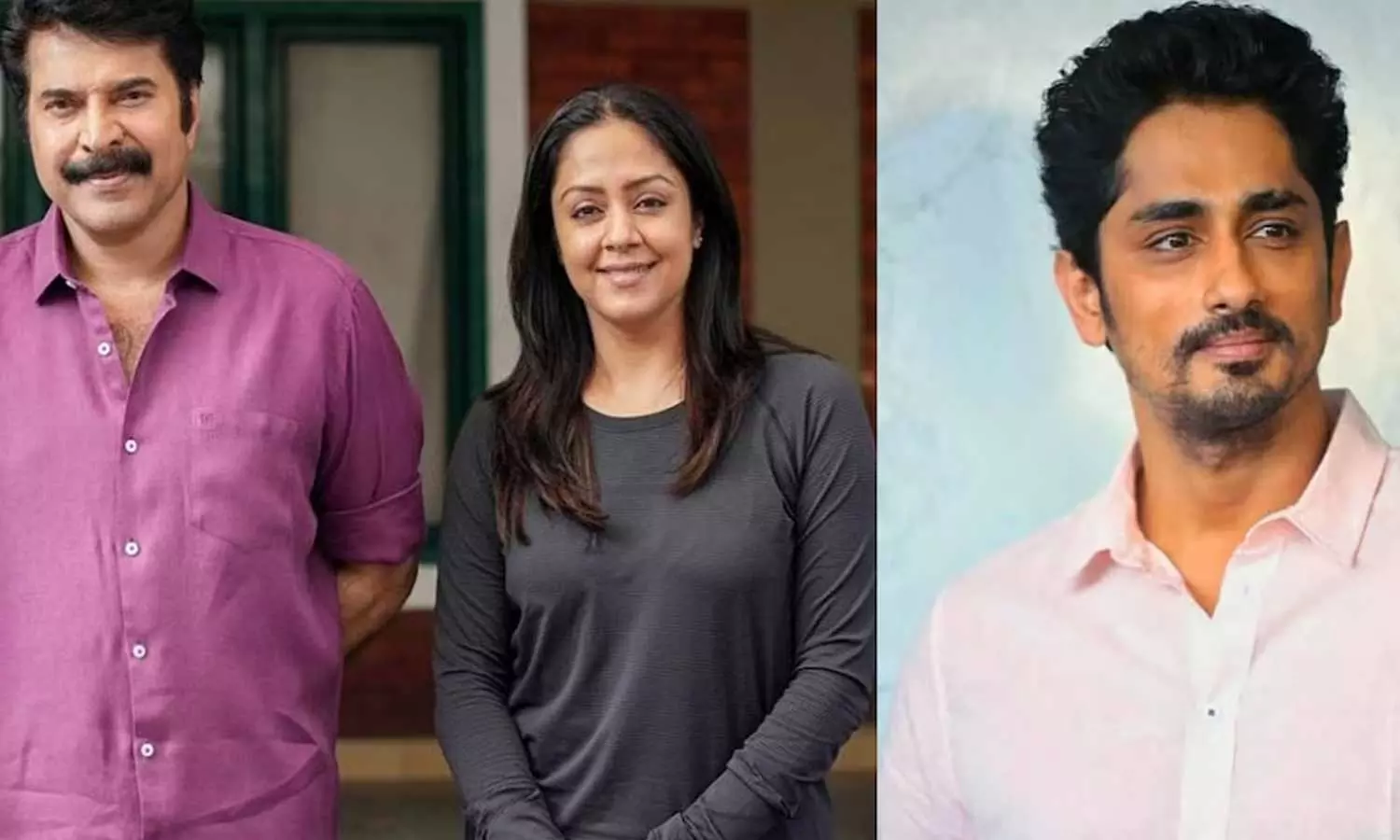 യഥാർഥ സൂപ്പർസ്റ്റാർ മമ്മൂട്ടിയാണ്, കഥാപാത്രങ്ങളുടെ തെരഞ്ഞെടുപ്പ് അവിശ്വസനീയം; പ്രശംസിച്ച് ജ്യോതികയും സിദ്ധാർഥും