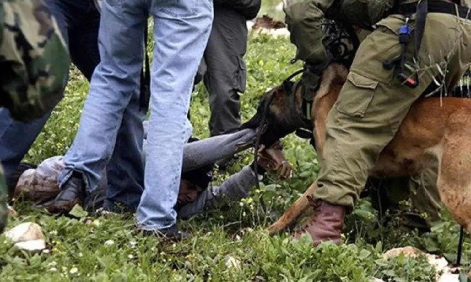Israeli army unleashed attack dogs on wounded in Gaza hospital